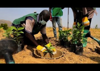 Cameroun : les réfugiés nigérians de Minawao luttent contre la désertification