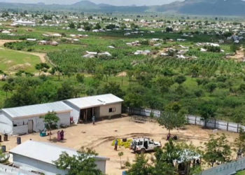 COP 26: LA ” GRANDE MURAILLE VERTE ” ERIGEE A MINAWAO