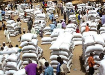 CAMEROUN: LE MINISTRE DU COMMERCE INTERDIT L’EXPORTATION DES PRODUITS DE GRANDE CONSOMMATION