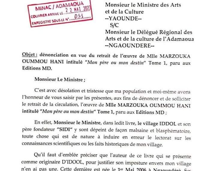 LITTERATURE:  LA JEUNESSE MUSELEE A IDOOL DANS L’ADAMAOUA