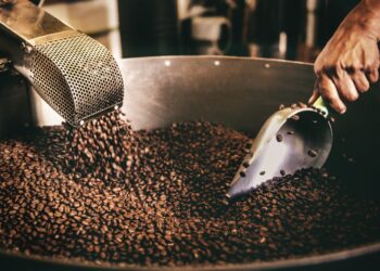 ÉCONOMIE: CAFE, « TRAIT D’UNION» DE LA COOPERATION CAMEROUN-RUSSIE