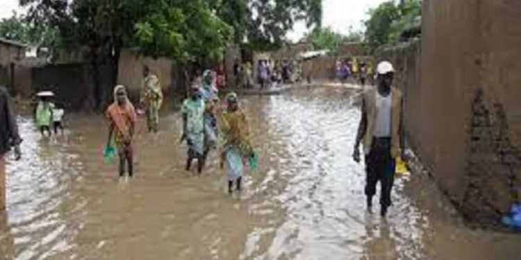 CAMEROUN : INONDATIONS MORTELLES DANS LA REGION DE L’EXTREME-NORD
