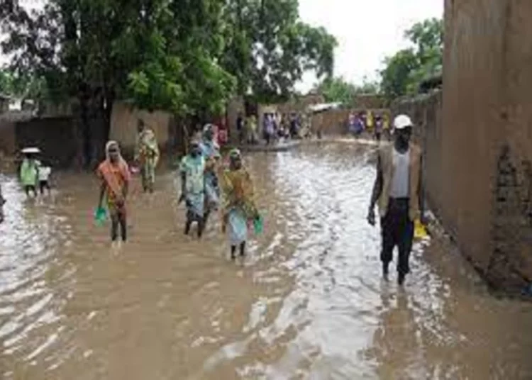 CAMEROUN : INONDATIONS MORTELLES DANS LA REGION DE L’EXTREME-NORD